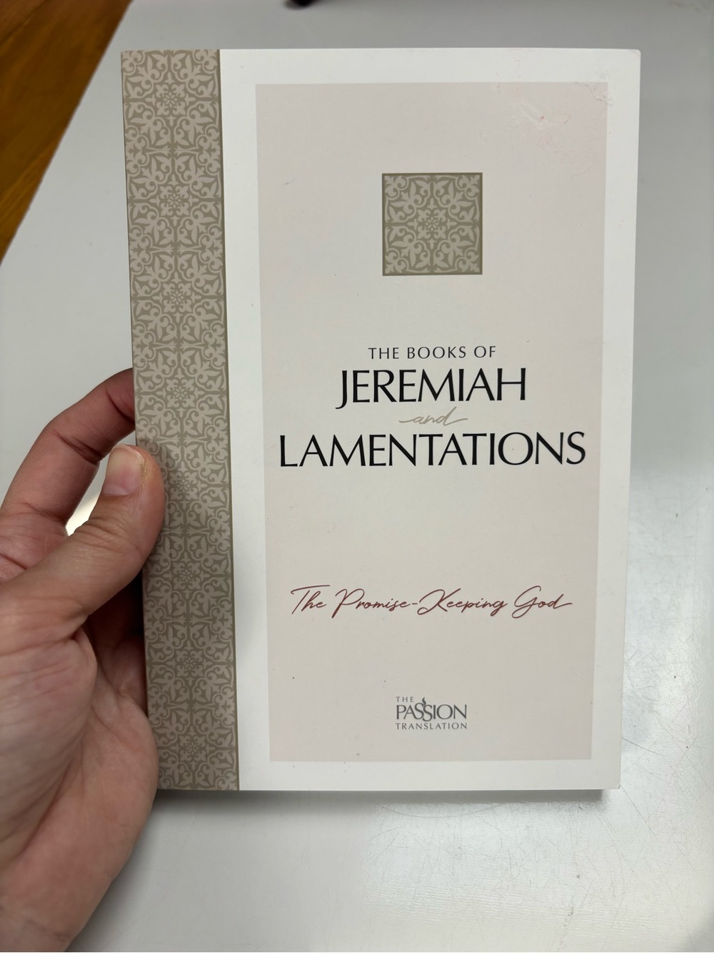 The Books of Jeremiah and Lamentations: The Promise-Keeping God Paperback book‎